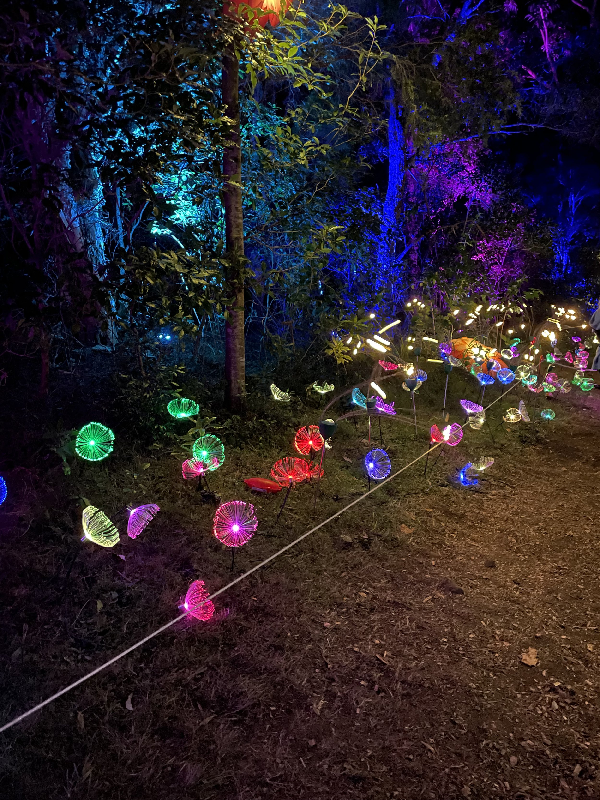 Enchanted Forest light up garden