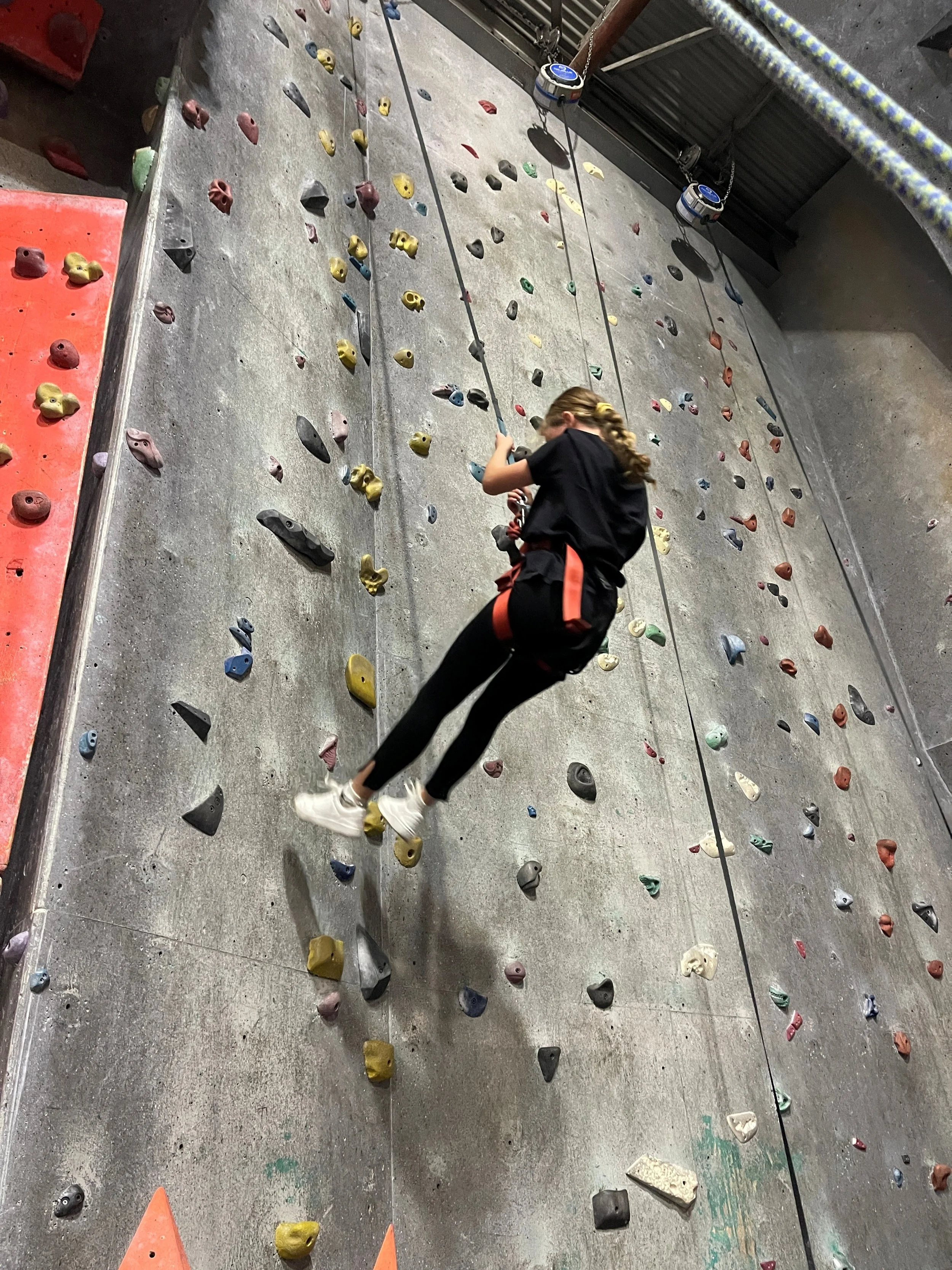 Young girl at indoor rock climbing - Hang Dog Wollongong