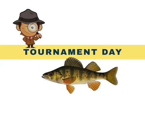 Perch Search Tournament