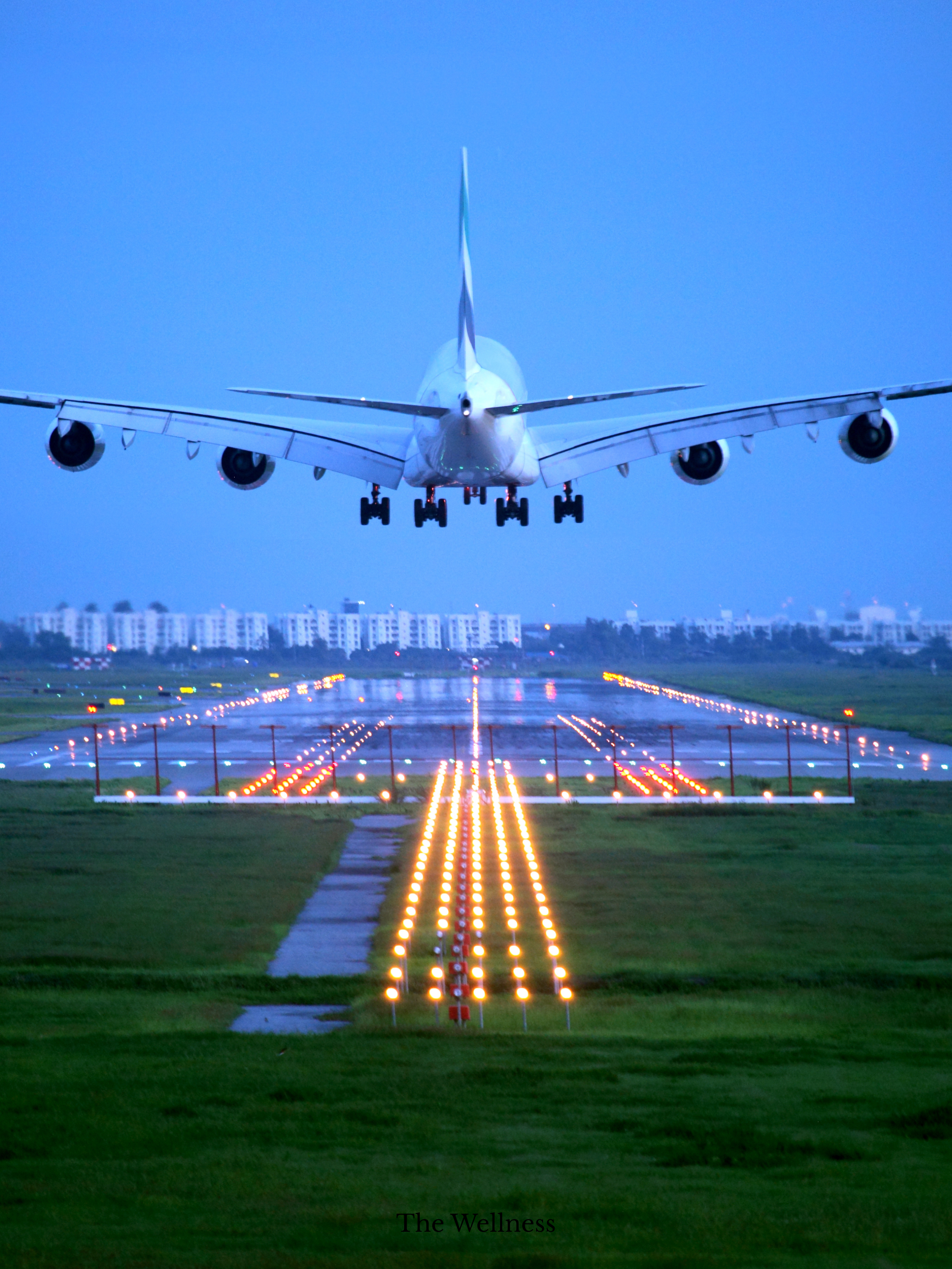 The Business Trip That Nearly Gave Me Typhoid (And the Online GP That Saved My India Launch)
