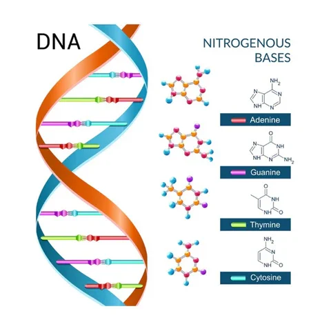 Epigenetic Testing UK: The Complete 2026 Guide to Biological Age Testing