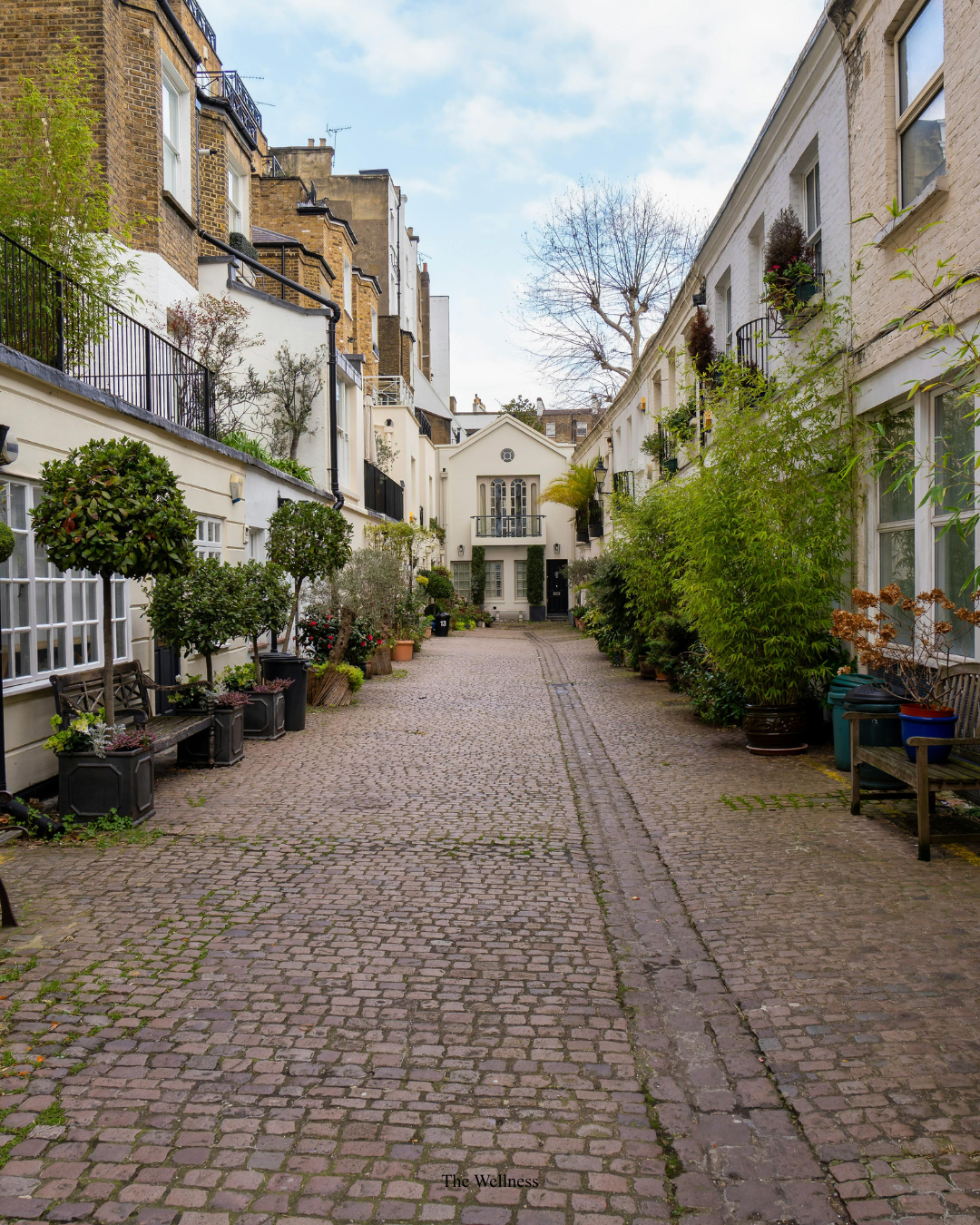 Private GP Medical Letters and Reports: Same-Day for Employers, Courts, Universities, and Insurance