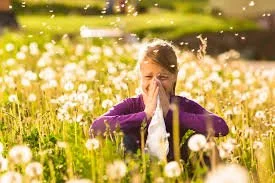 The Hay Fever Vaccine London 2026: The Complete Guide to Allergen Immunotherapy