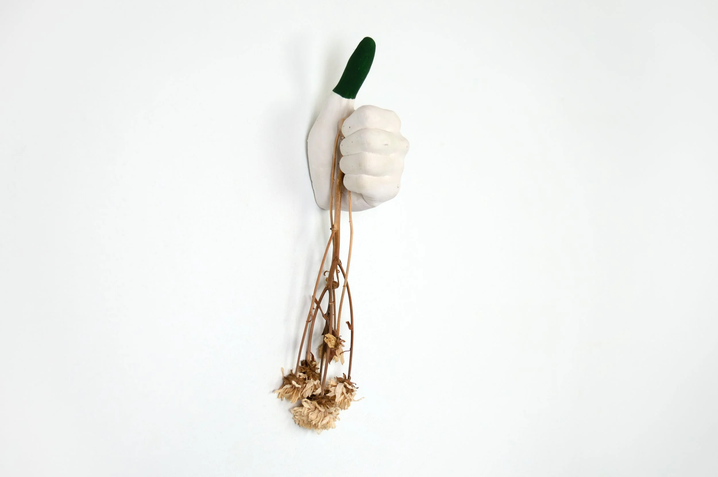 231111 Ode to my dead plants-1.jpg