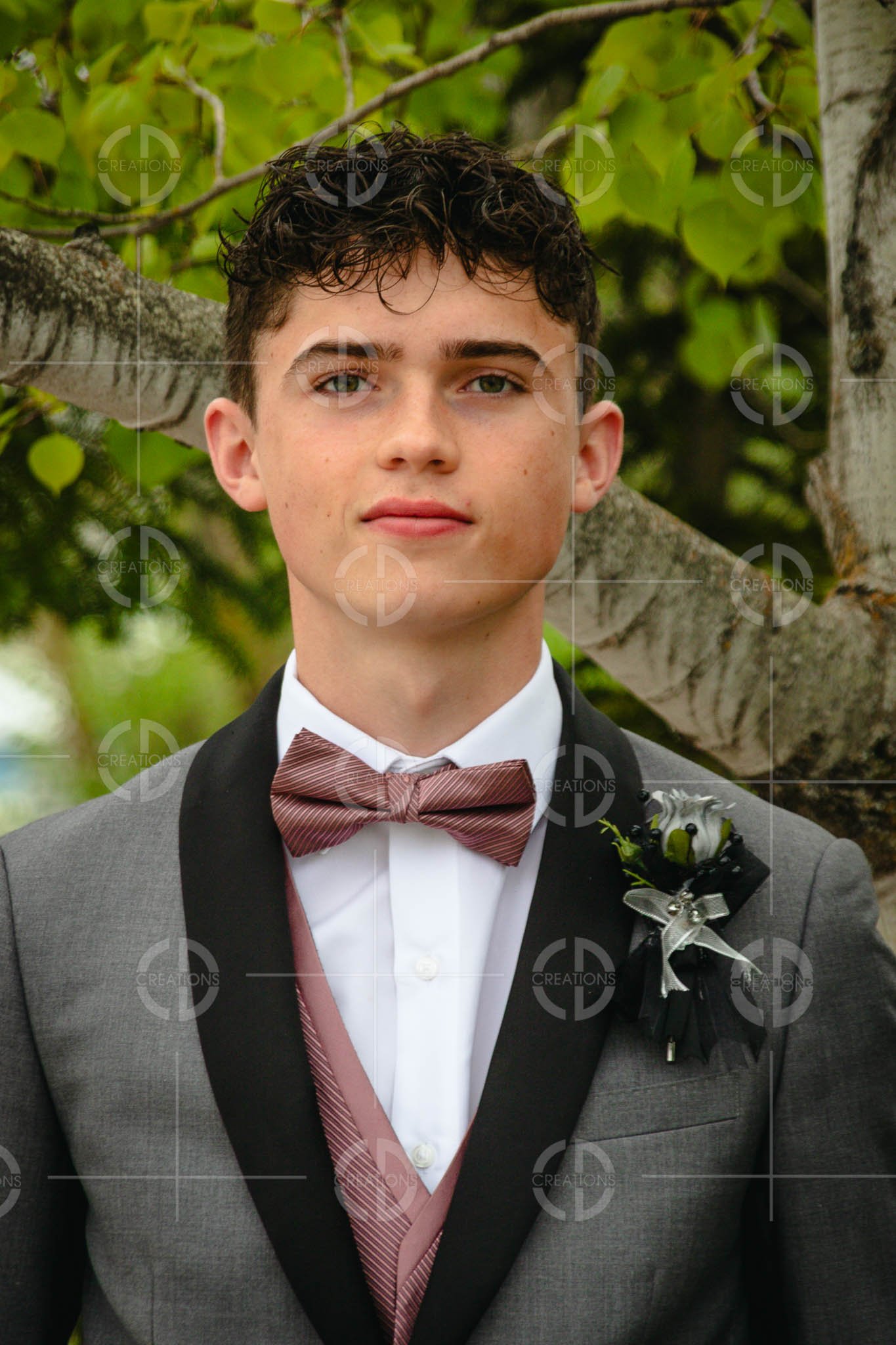 Young man in formal suit with a bow tie and boutonniere standing outdoors in front of a tree.