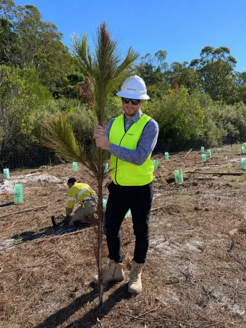 Protecting Koalas Through Habitat Restoration
