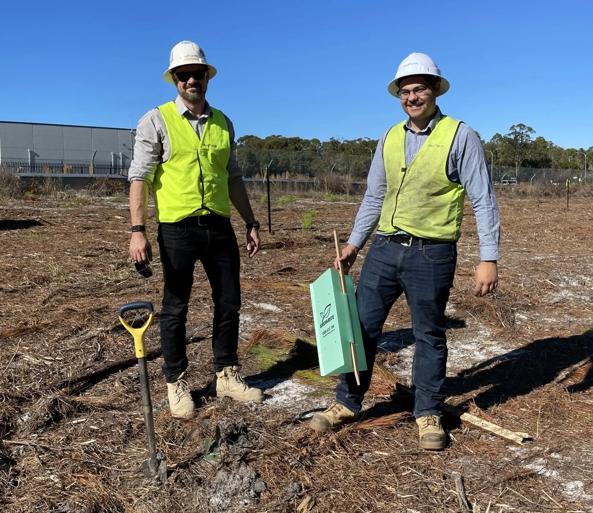 Two team members at Kings Forest during a koala habitat restoration project, standing beside a newly planted native tree with a shovel.