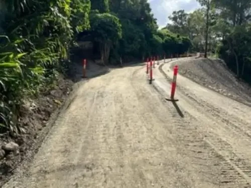 A dusty unpaved road with orange traffic cones on the side, winding through a green, forested area.