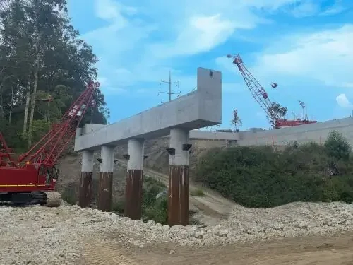Image of Ellendale bridge construction. Two cranes, piling and trees in the background.