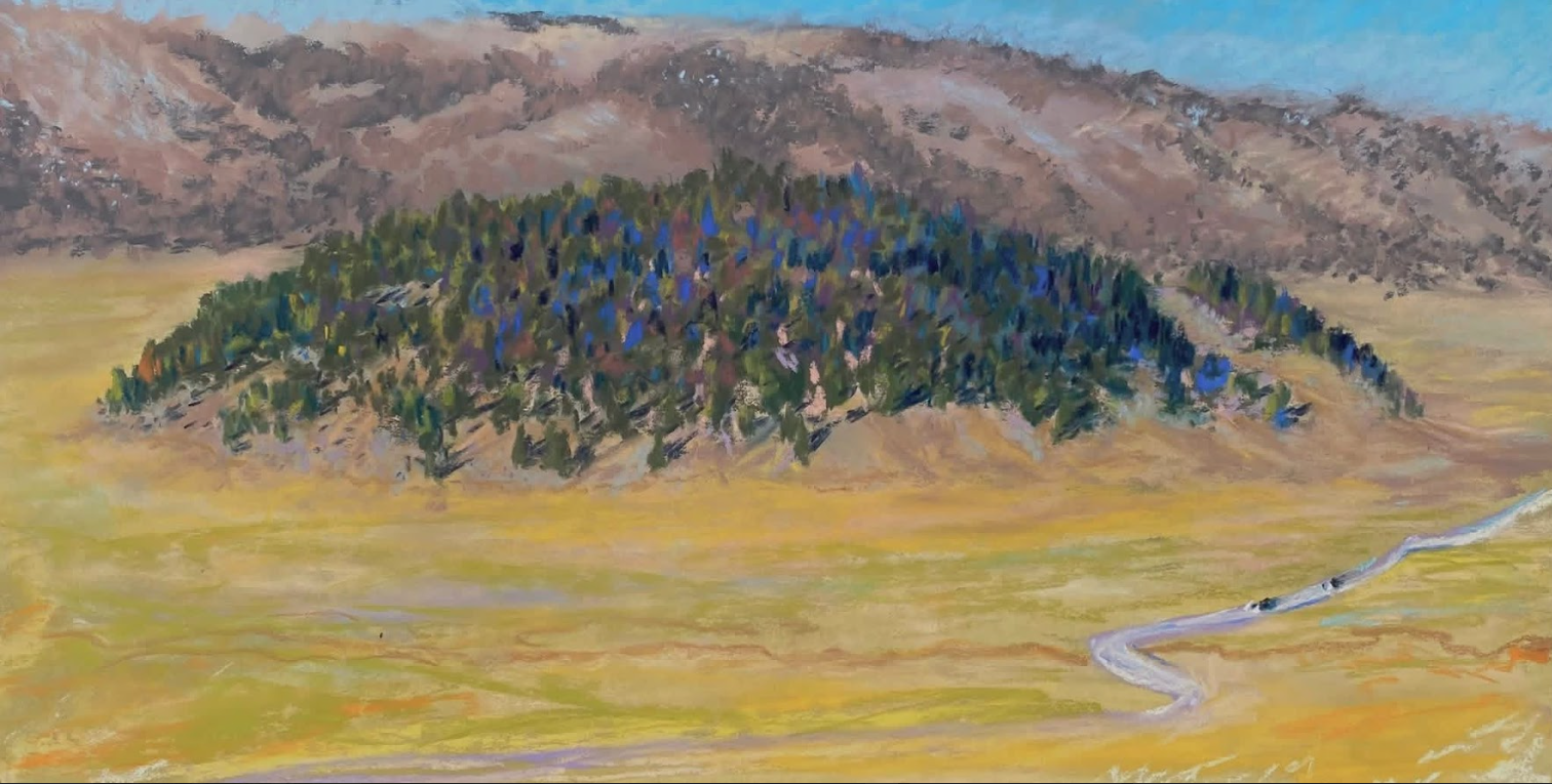 The Forested Lava Dome