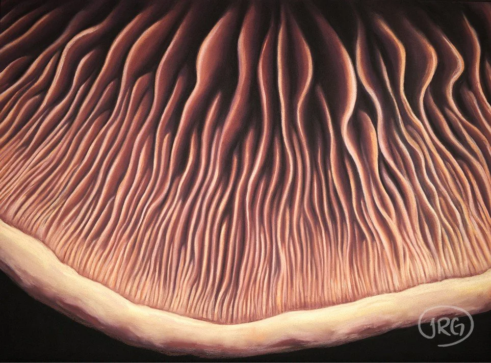 Mushroom Gills