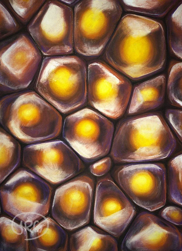 Pomegranate Cells