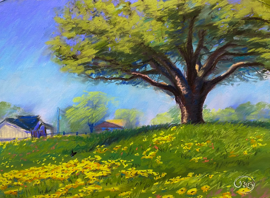 Springtime Independence