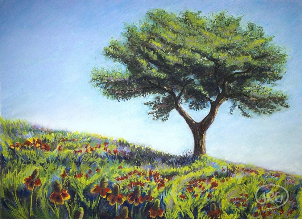 The Tree on the Hill