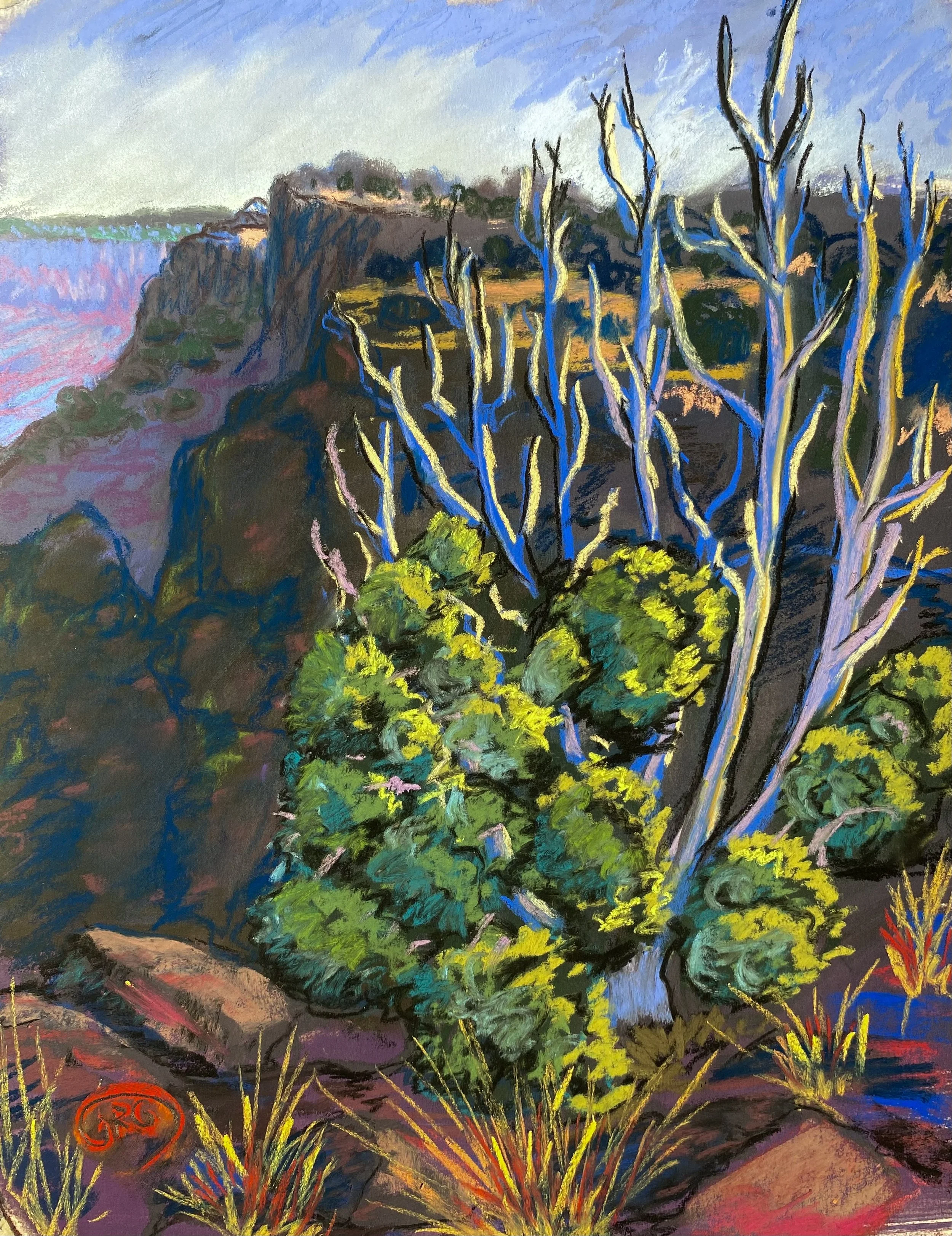 Fading Juniper