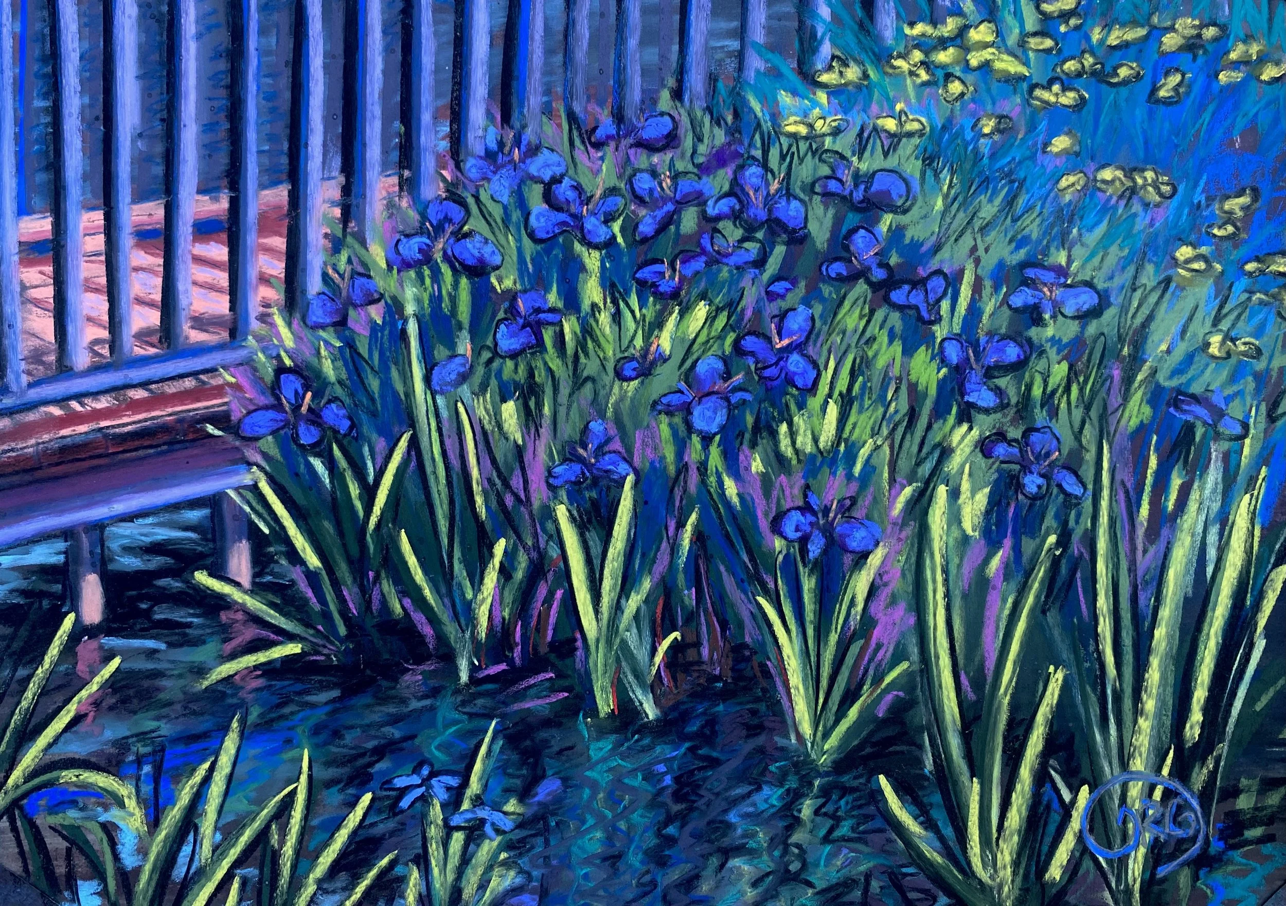 Iris Paradise