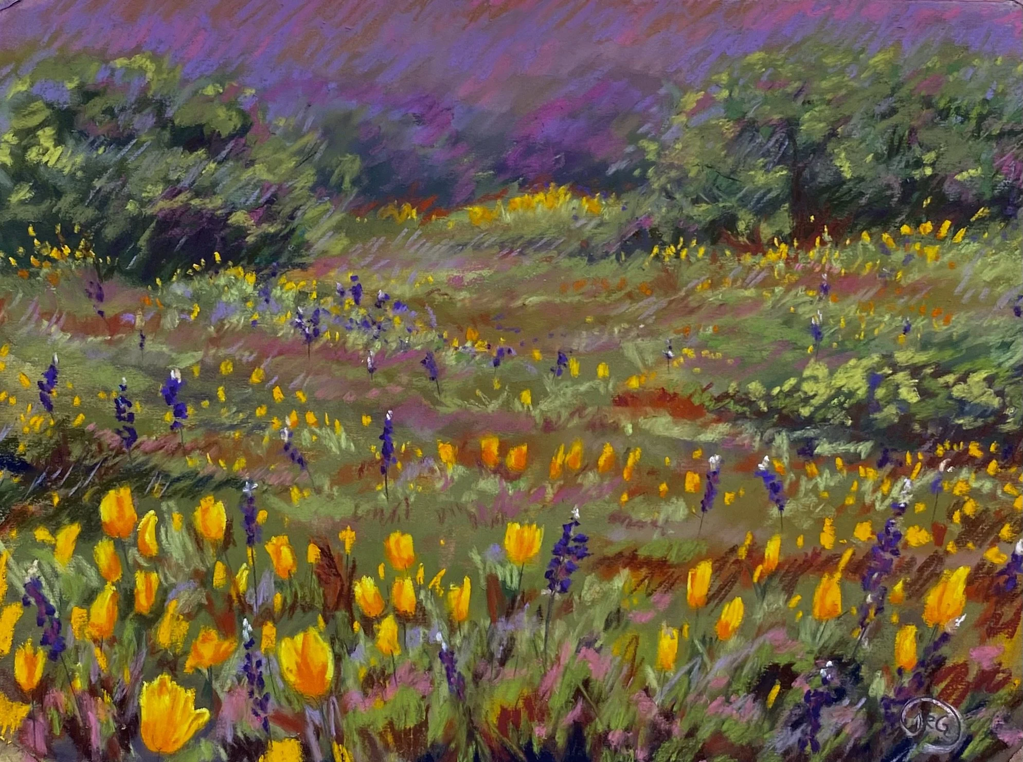 Poppies After the Storm