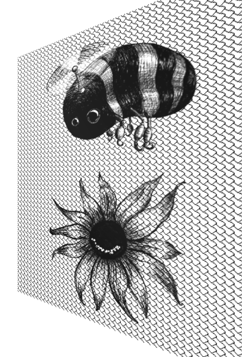 White hoodie featuring a smiling sunflower or "been" graphic on the front.