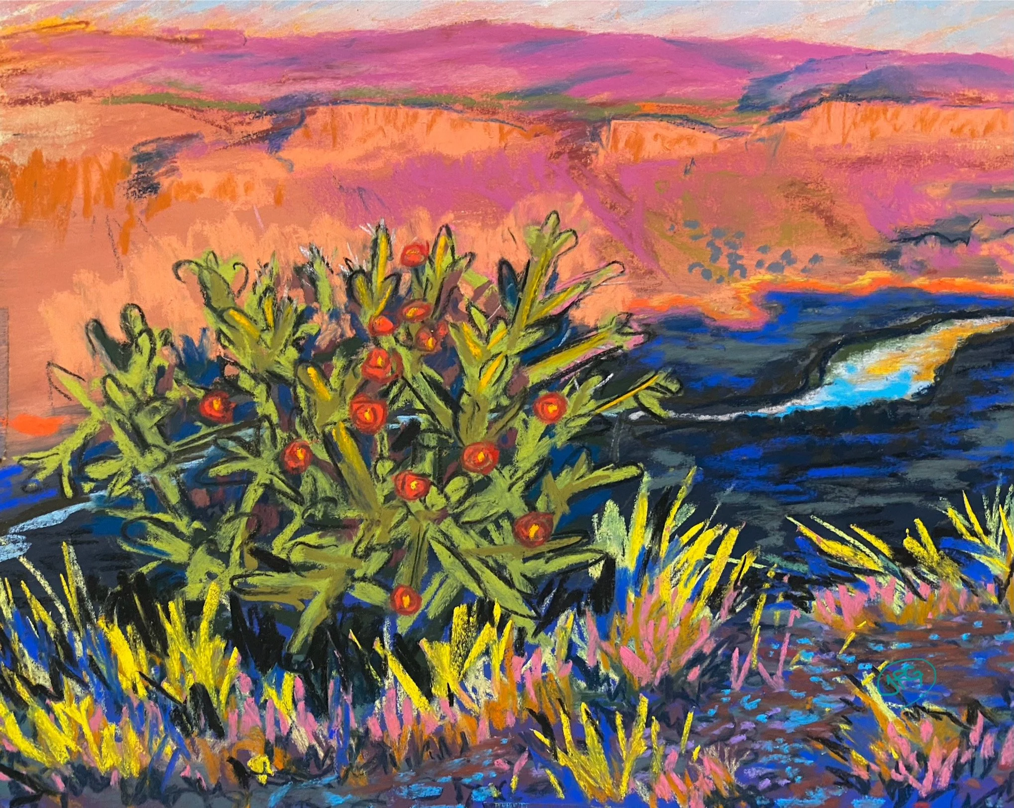 Blooming Cholla