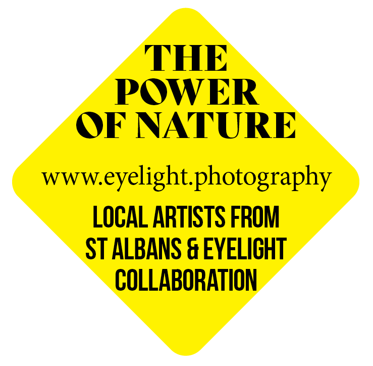 Local Artists from St Albans and Eyelight Collaboration.