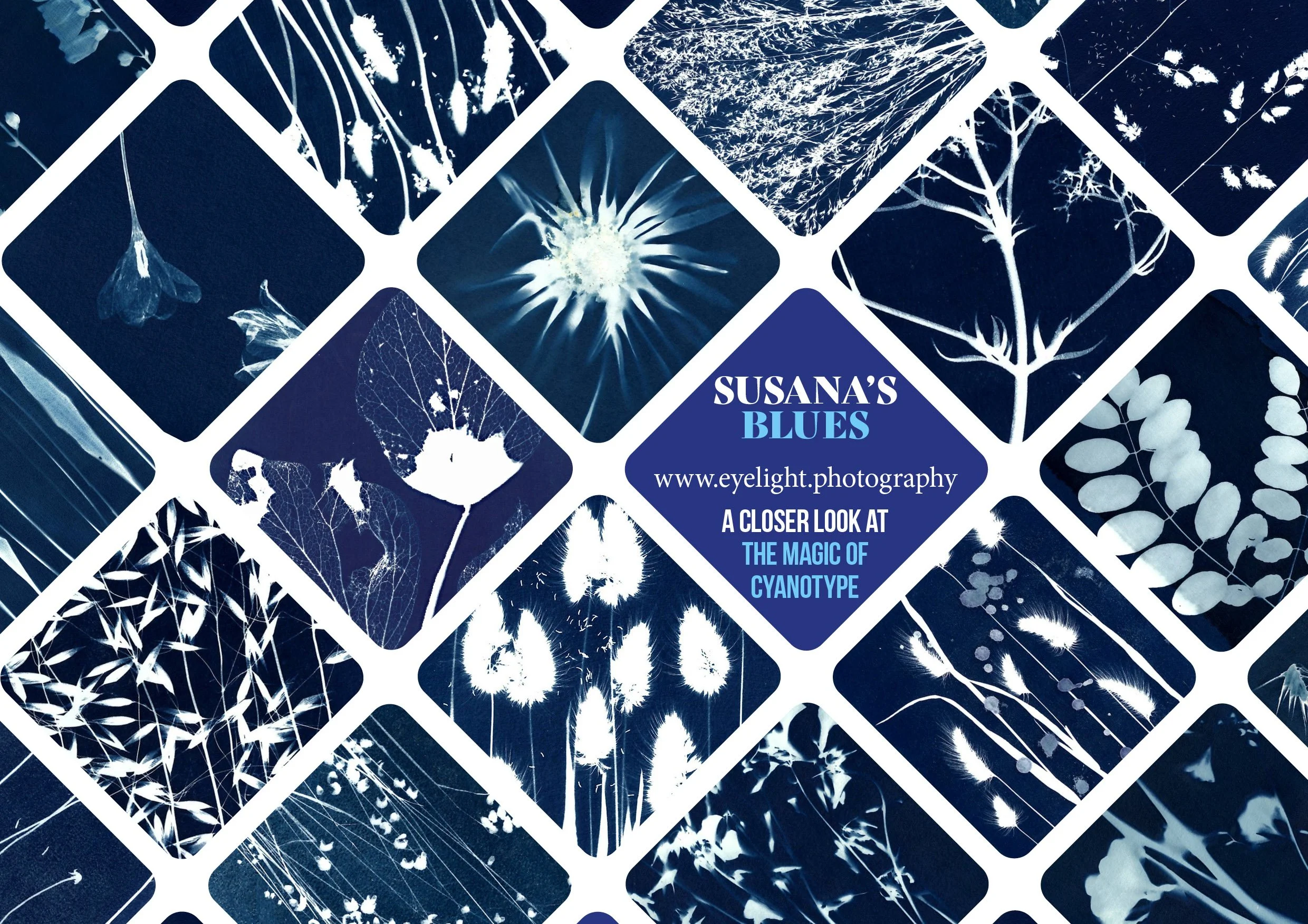 Susana Varela Cyanotype Images