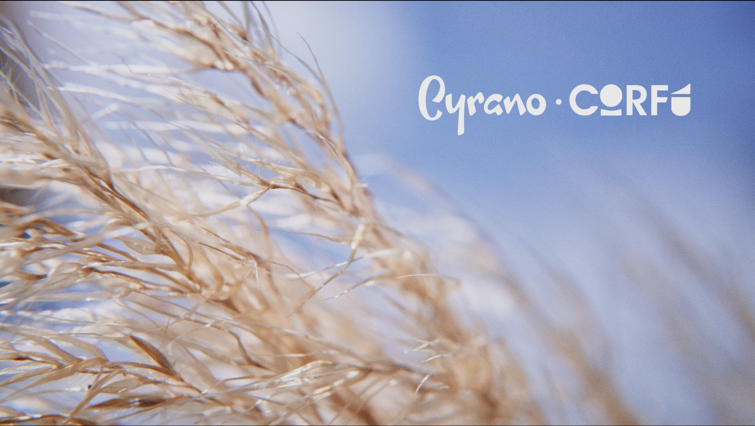 La mejor epoca del año / CYRANO