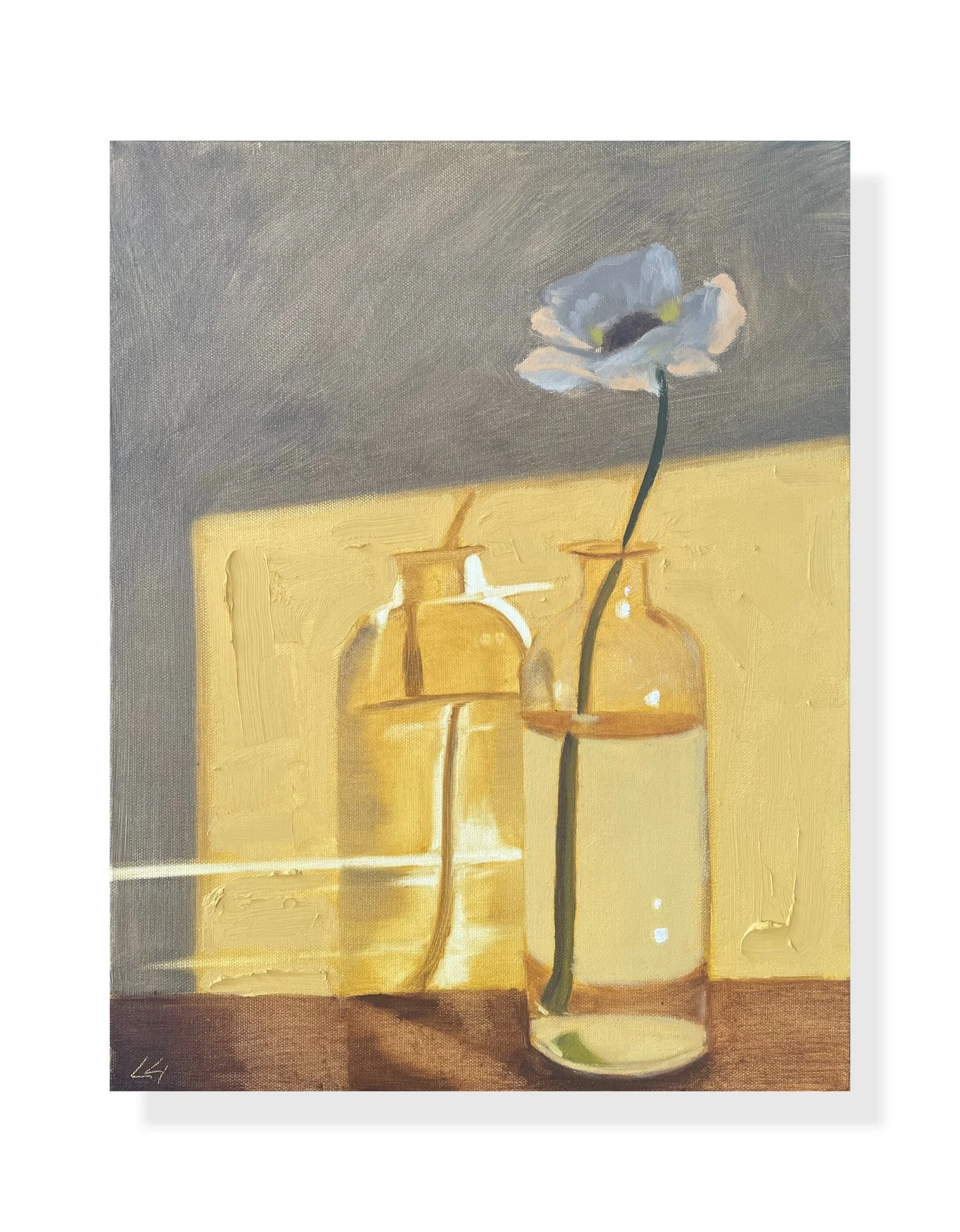 "Shadow Flower" Oil on canvas 24x30"
