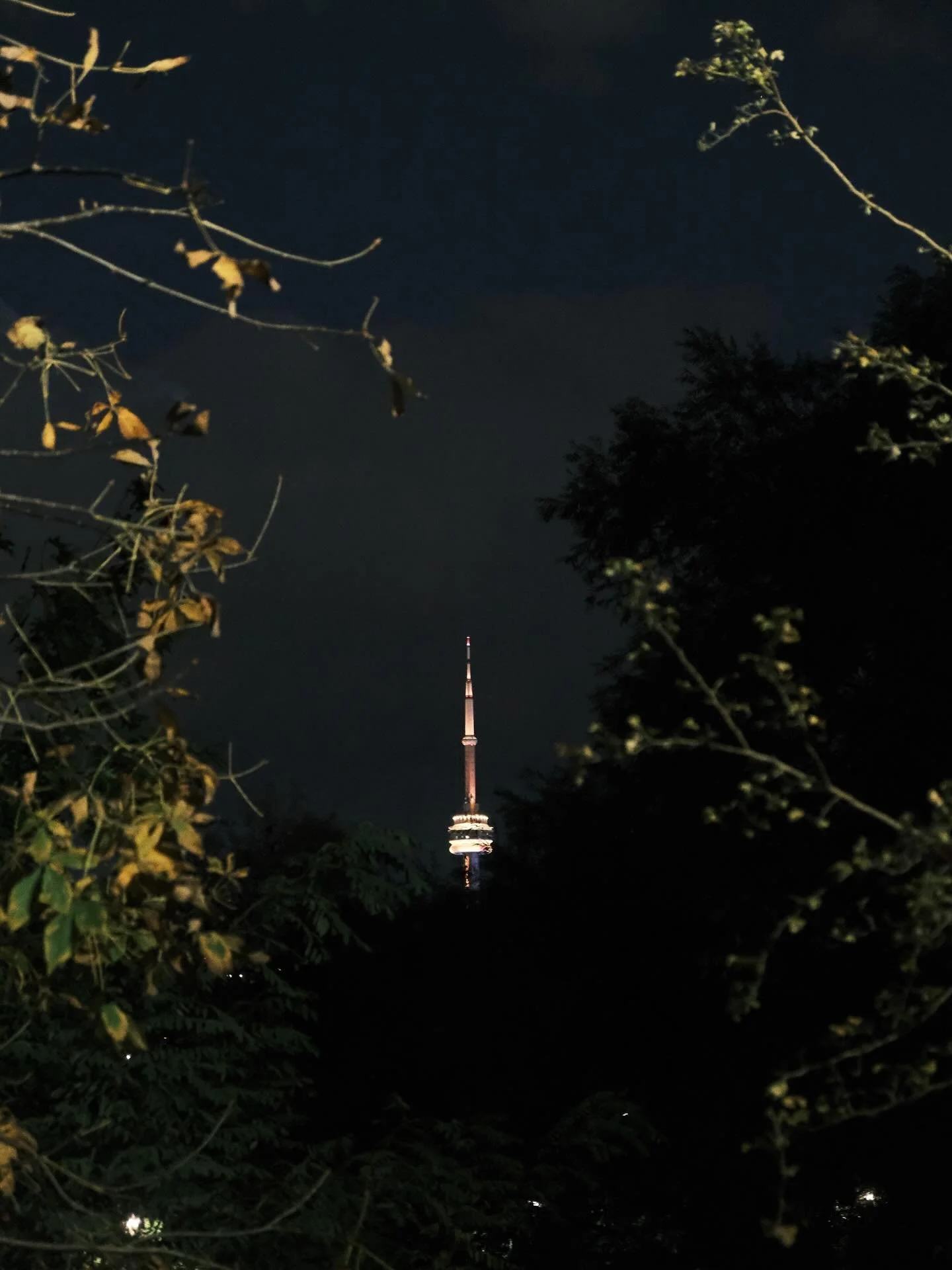 Toronto is our playground &mdash; 
where morning coffee turns into patio chats, bookstores spill into galleries, and sunsets linger over tree-lined streets. 
From vintage finds to late-night bites, there&rsquo;s always something new to stumble upon. 