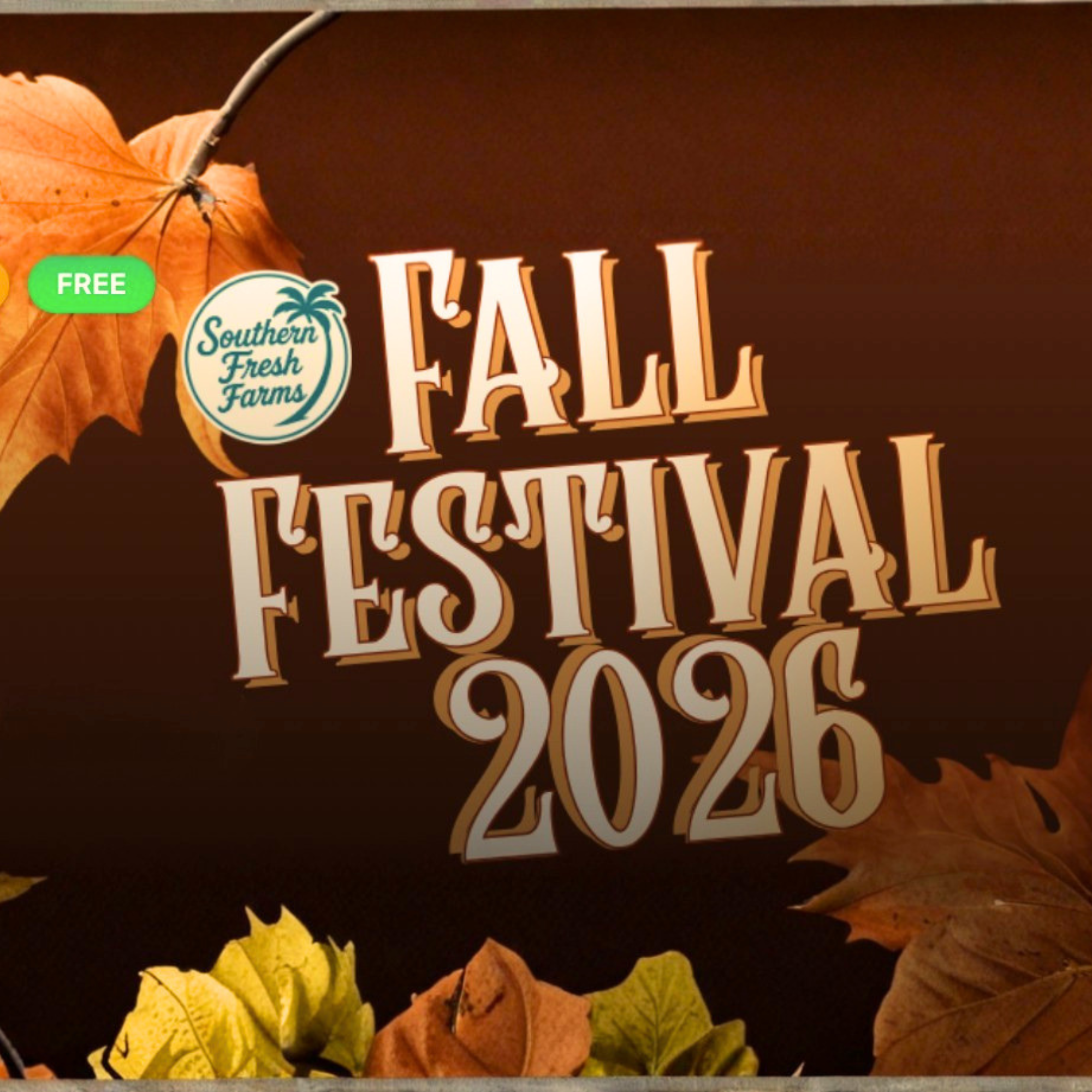Fall Festival at Southern Fresh 