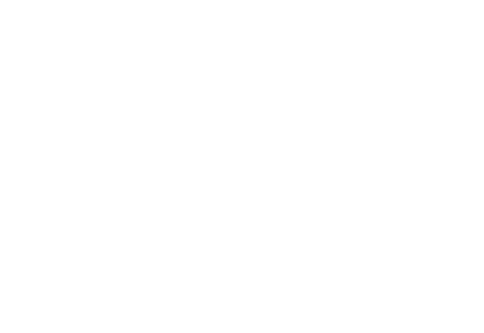White handwritten text saying 'directing' with decorative swirl and lines on a black background.