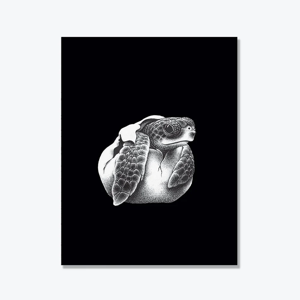 FT_Website_Mockups_Note Card Hatchling.jpg