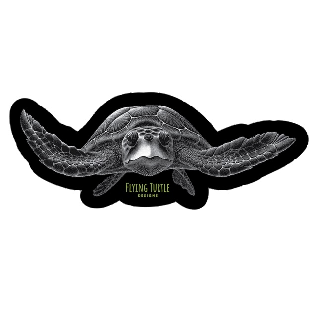 FLYING PNG for site.png