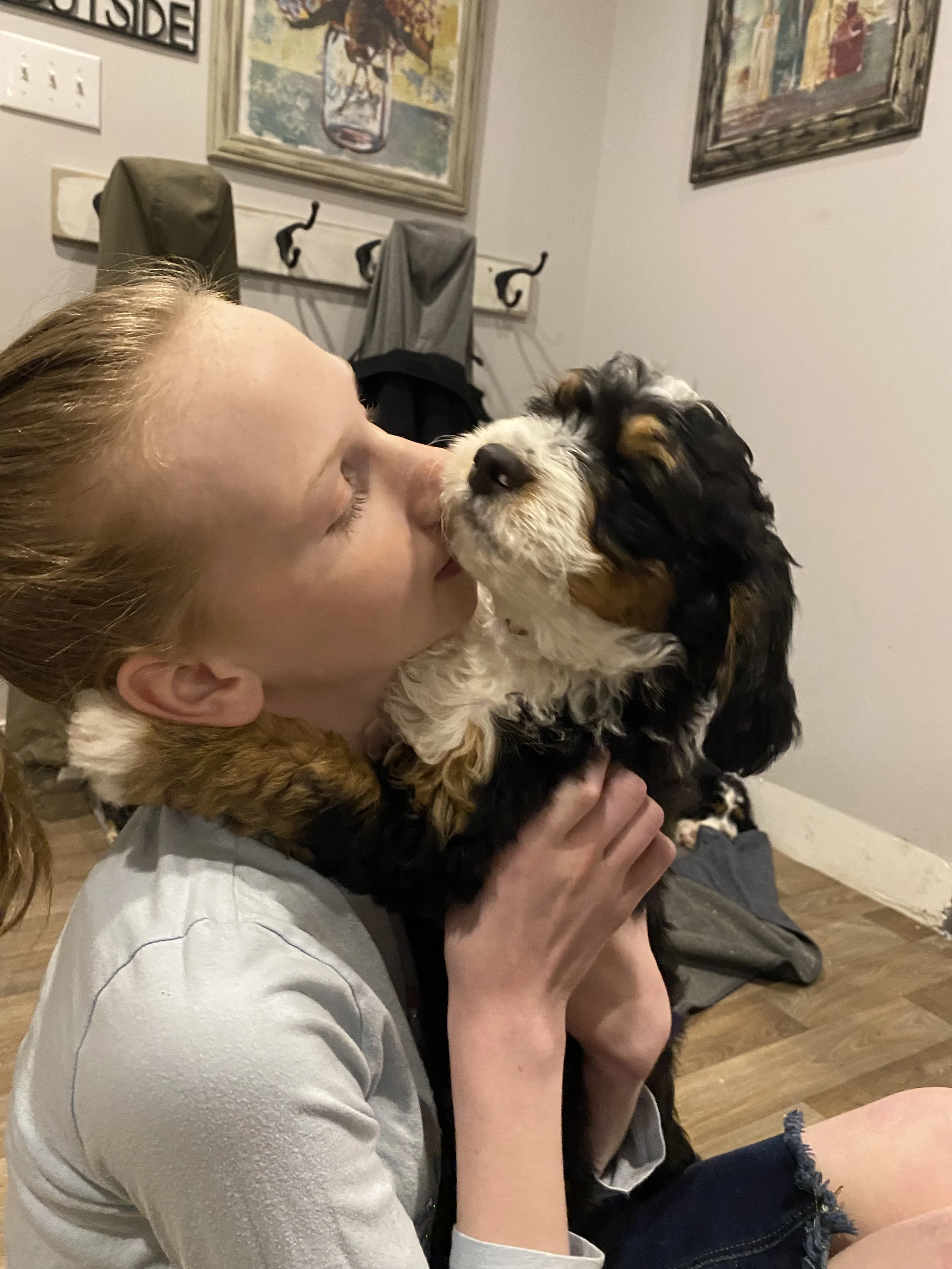 A woman with red hair is hugging and kissing a black, white, and brown puppy, possibly a cavalier king charles spaniel, inside a room with artwork on the wall.
