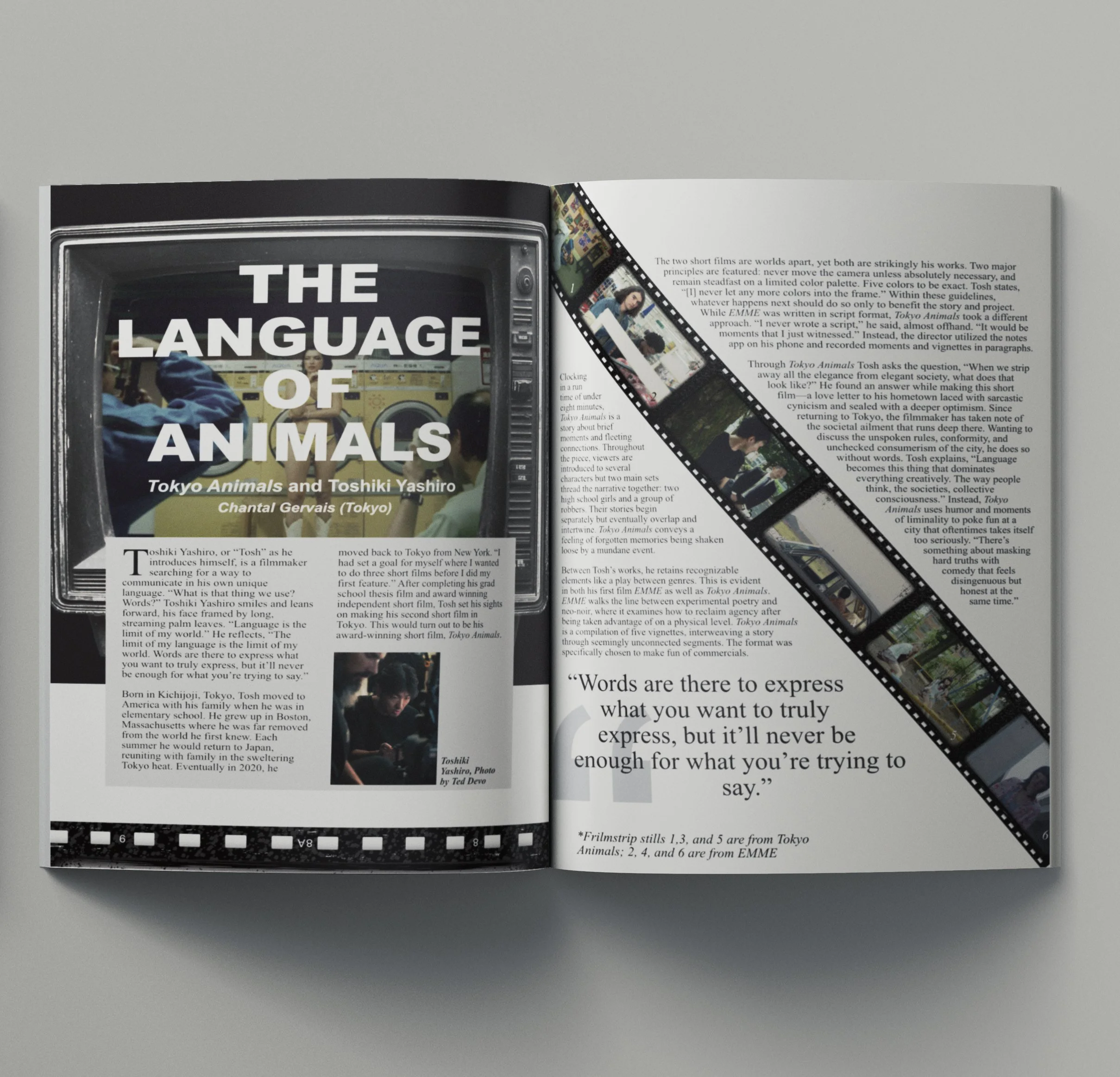 The Language of Animals