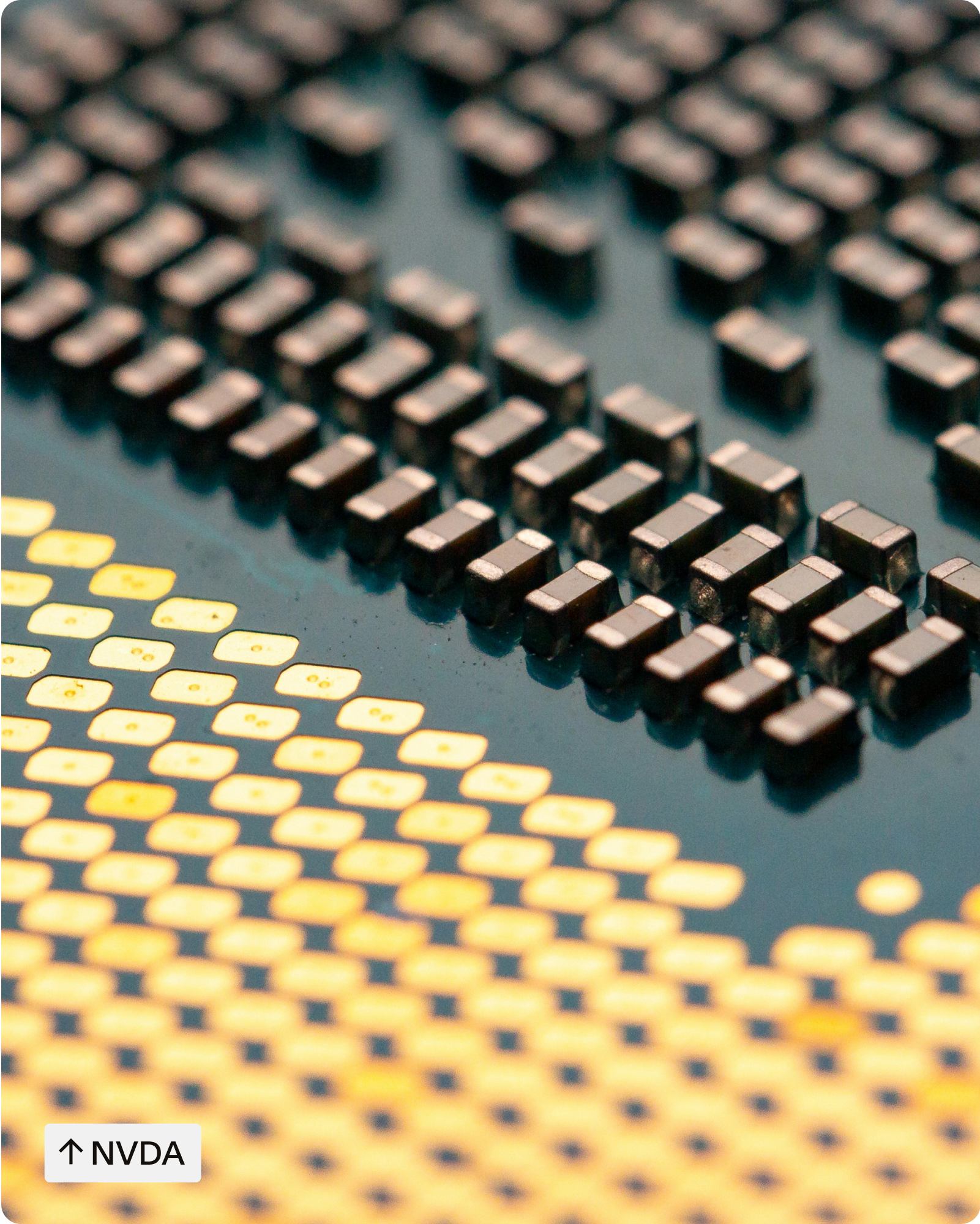 2_Full Bleed Image (1).png