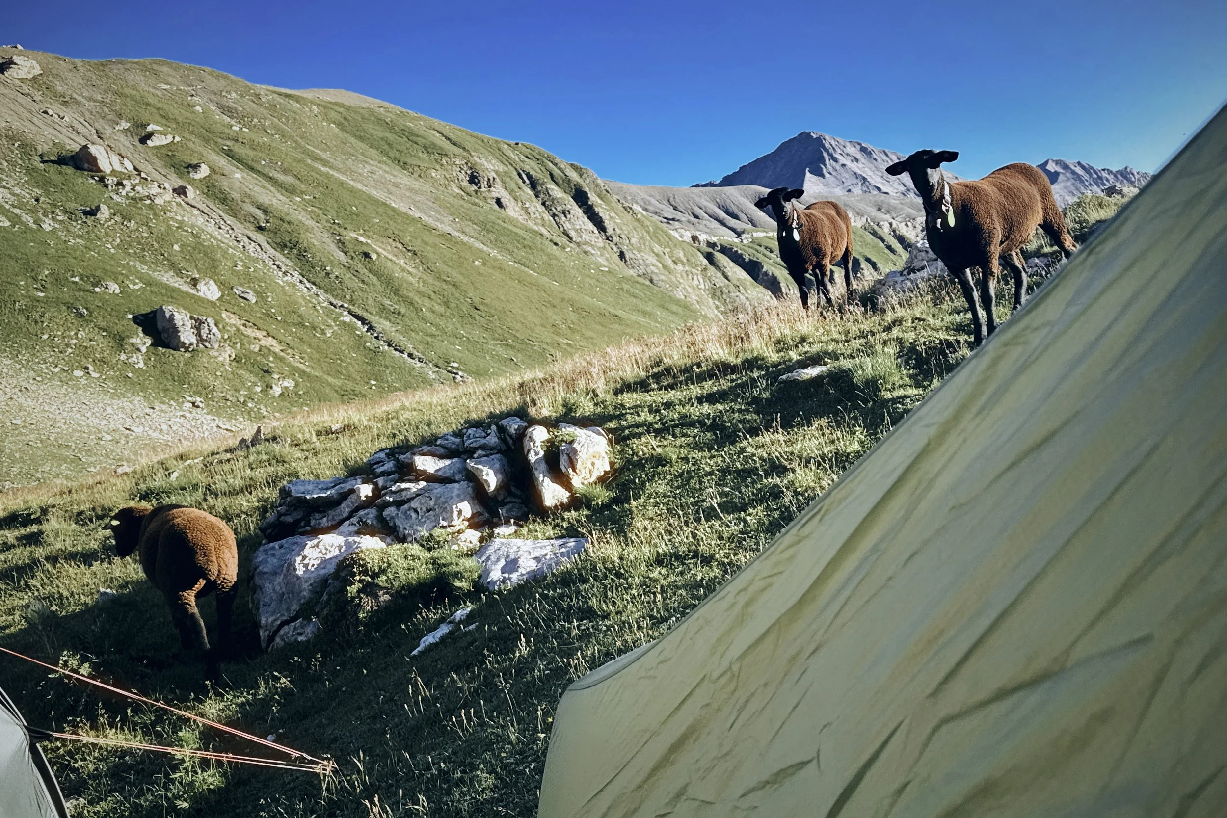 spg.2026.07.24.Biwak.mit.Marc_Kandersteg.iPhone.9.jpg