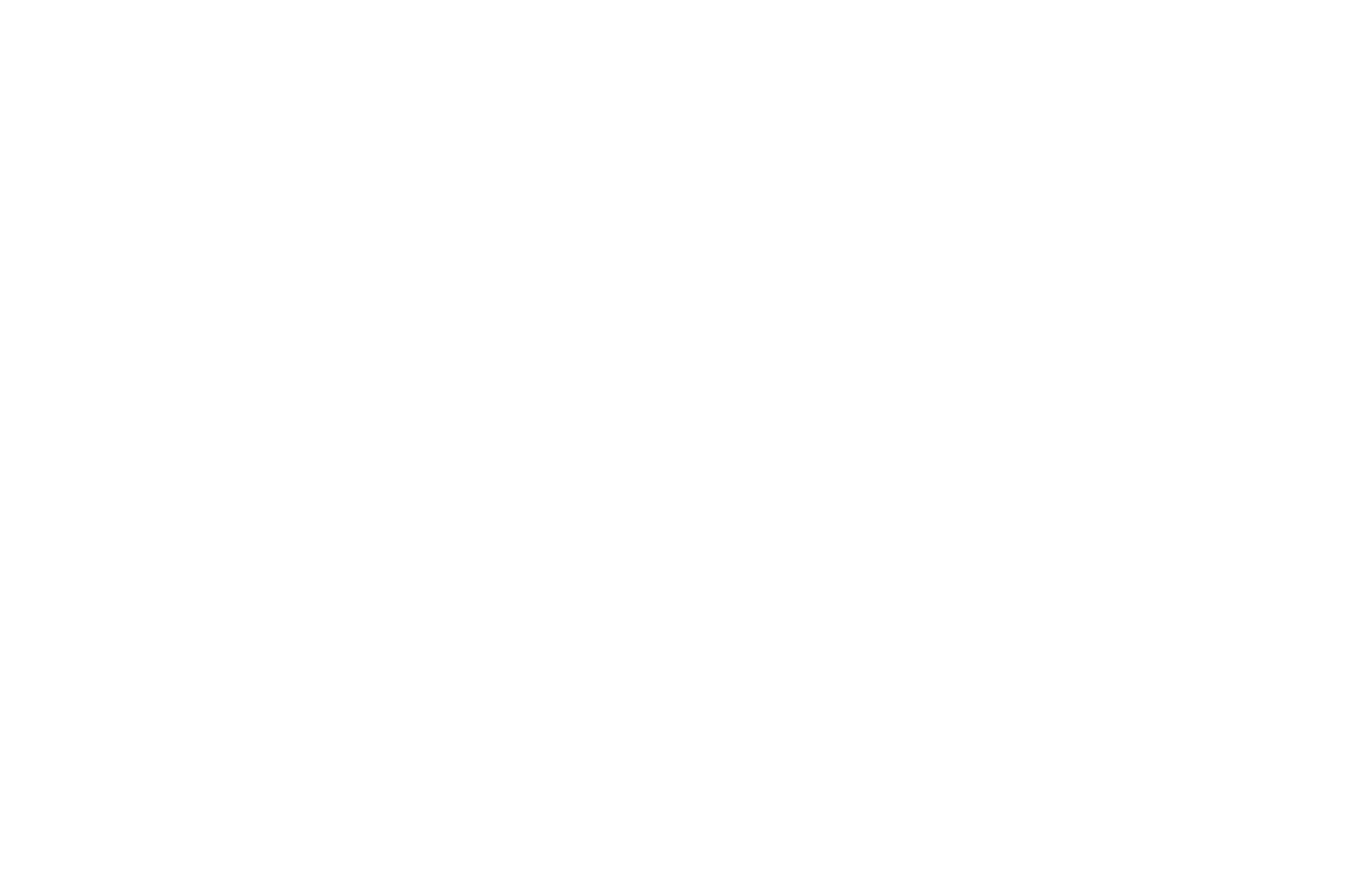 Official selection Swedish International Film Festival 2026