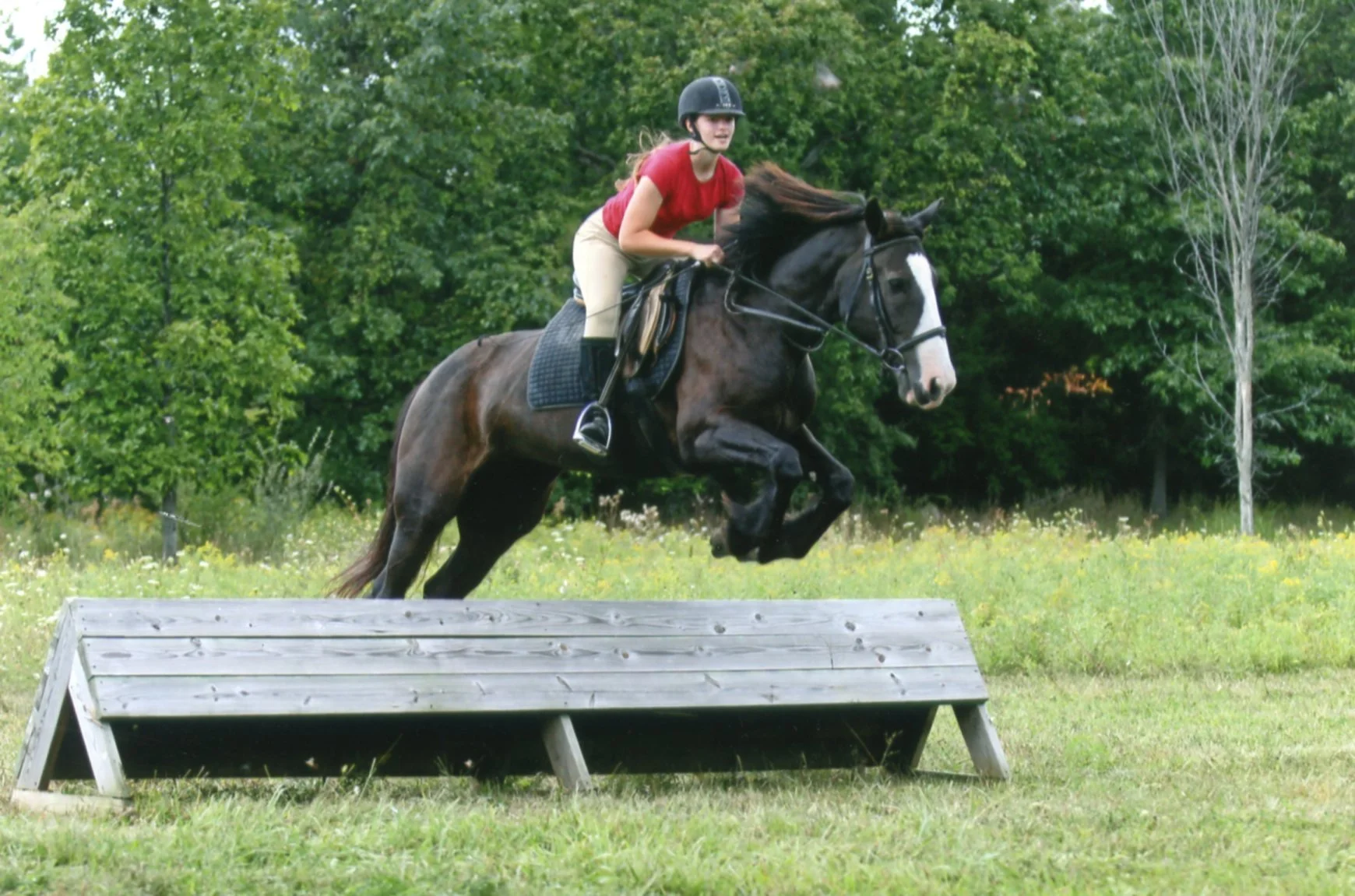 Flying over a small cross country coop jump on a black draft cross mare with a white blaze. The jump is probably 2 foot 6 and we're schooling in casual attire. She tucks her knees beautifully as she clears the jump