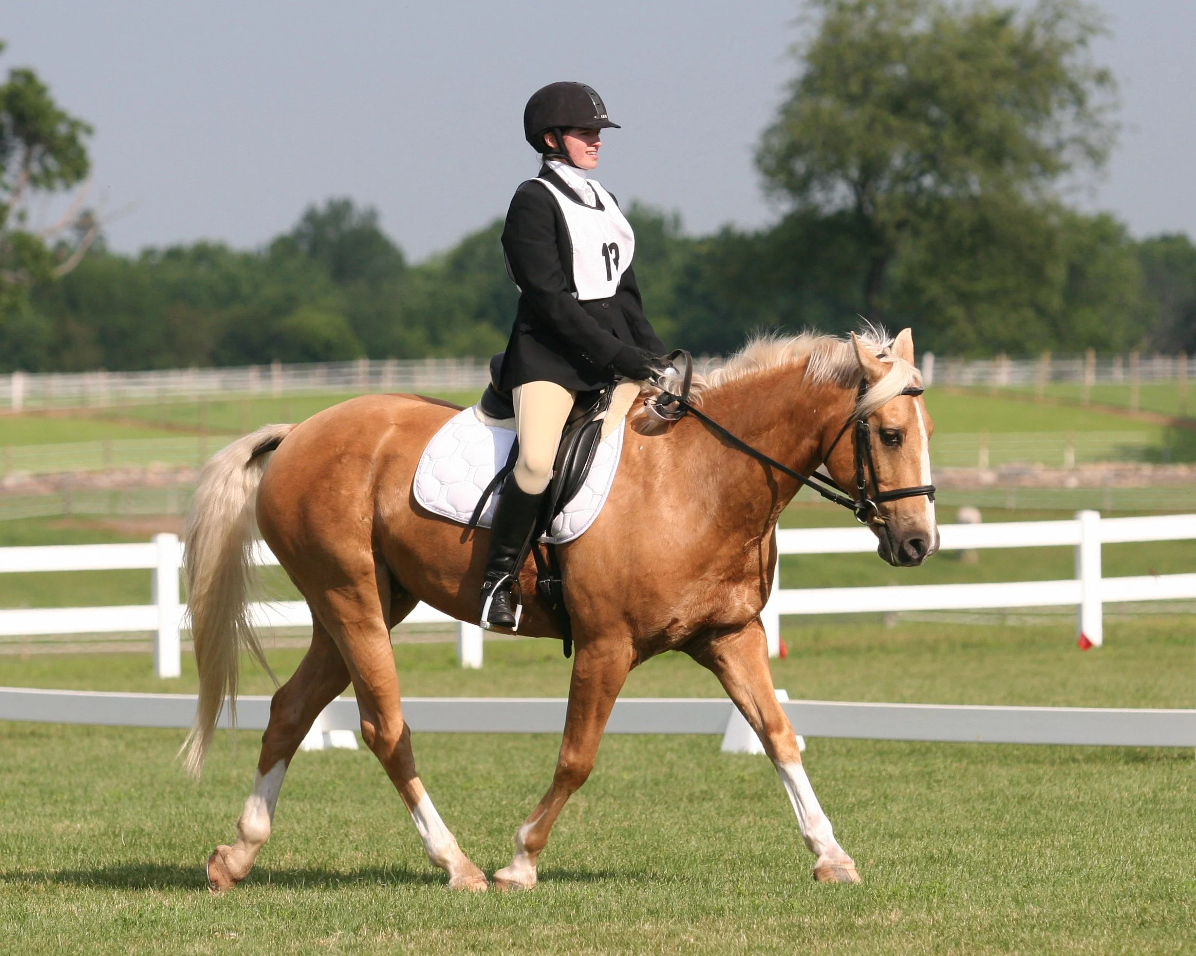 Trotting across the diagonal while riding a dressage test on a shiny palomino gelding. I'm dressed in show clothes and we're in a grassy green dressage ring with white fences