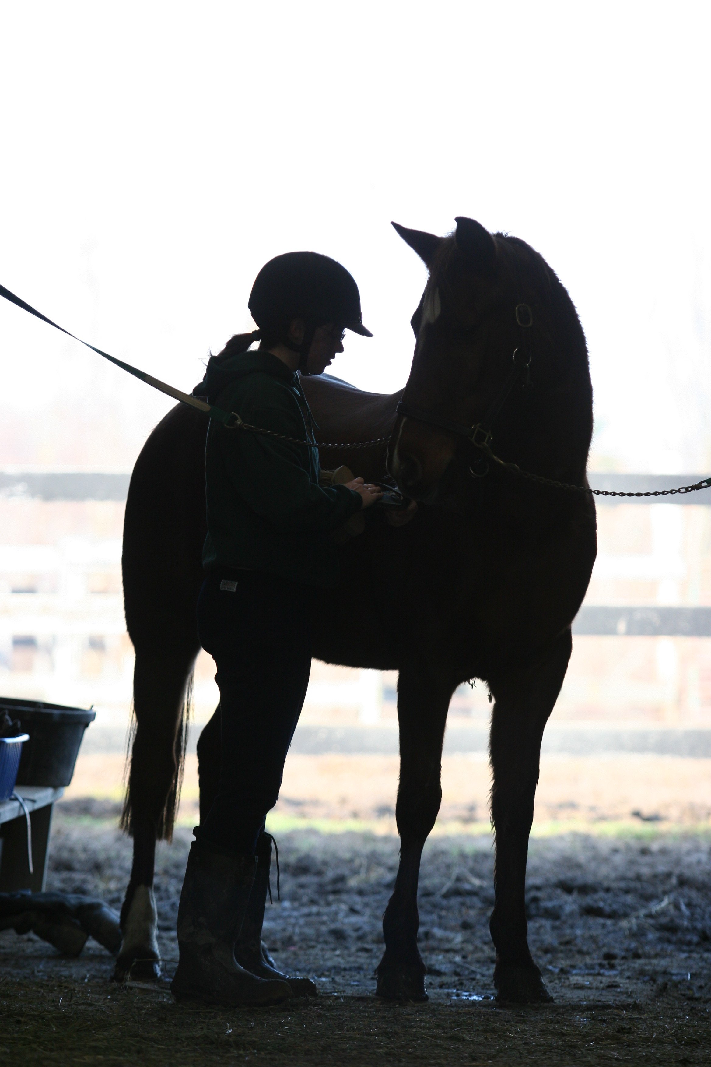 A silhouette of my horse and me sharing a moment in the cross ties. She arches her neck to the side and gently touches a brush I'm holding with her nose. I lean in toward her with my helmet on my head