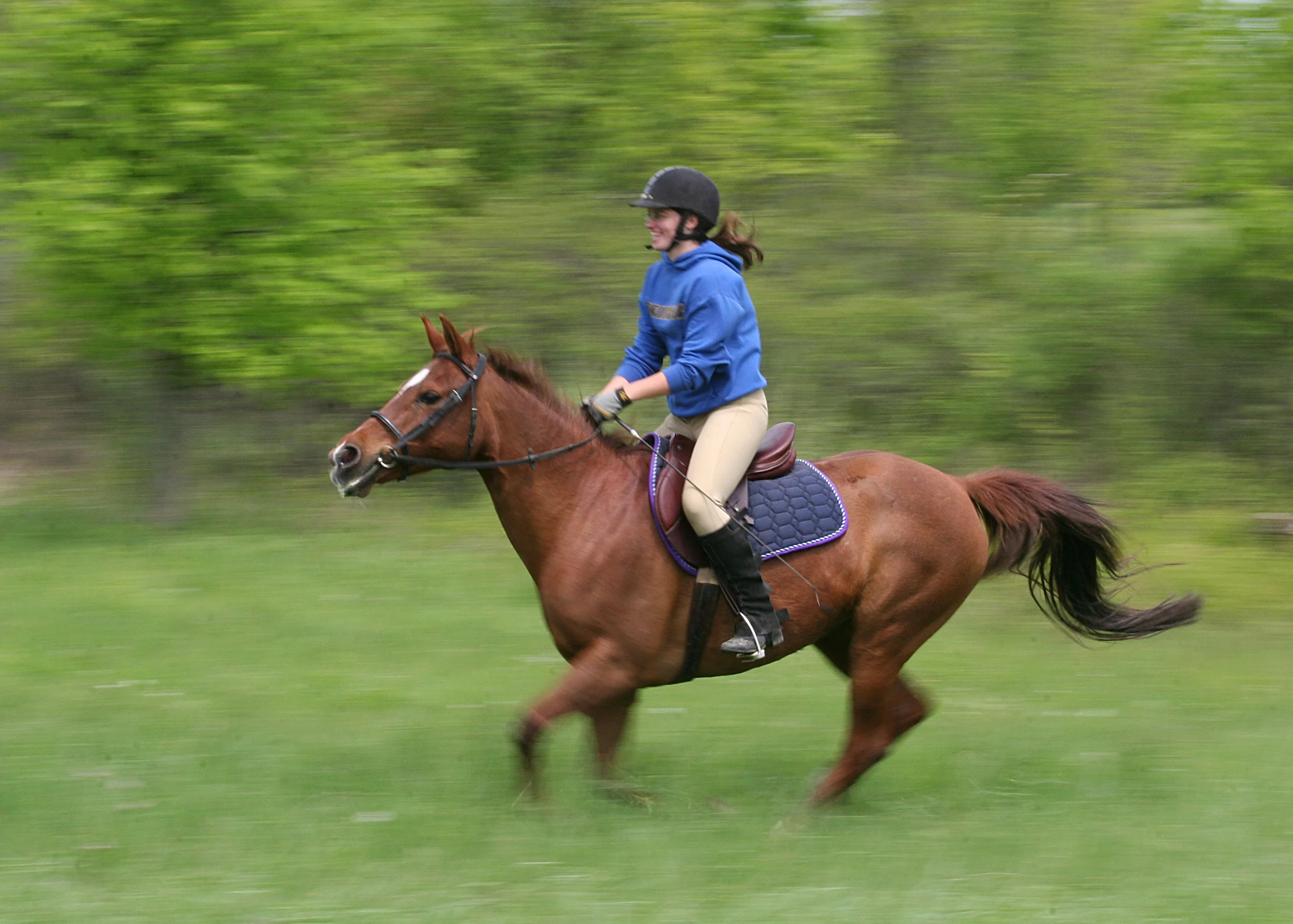Panning shot of my chestnut mare and me galloping in a green field. She eagerly moves forward with ears perked and half-arabian tail flying. Our bodies are sharp but the blur of her legs and the background shows our speed. I'm casually dressed in a h