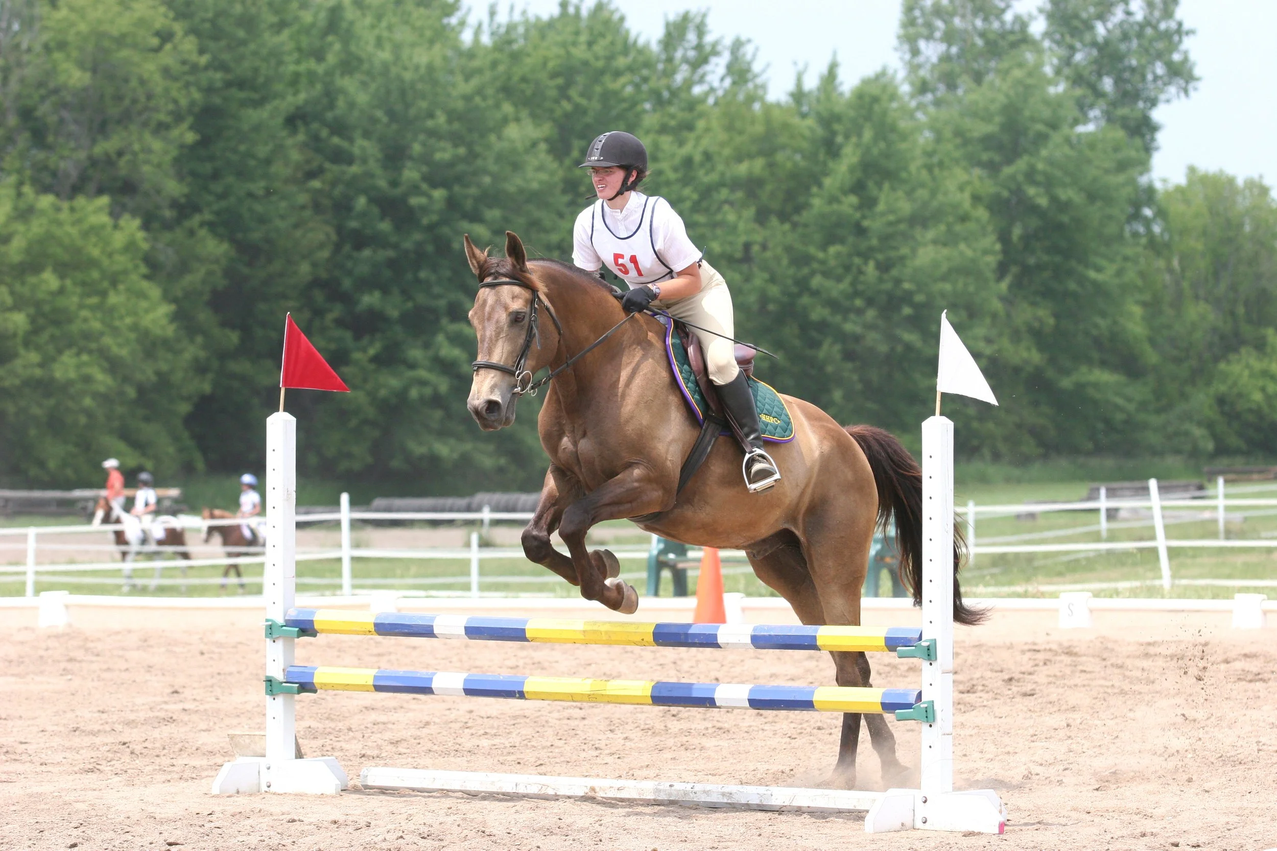 Riding a big dun warmblood over a 2 foot 6 show jump during a Pony Club competition