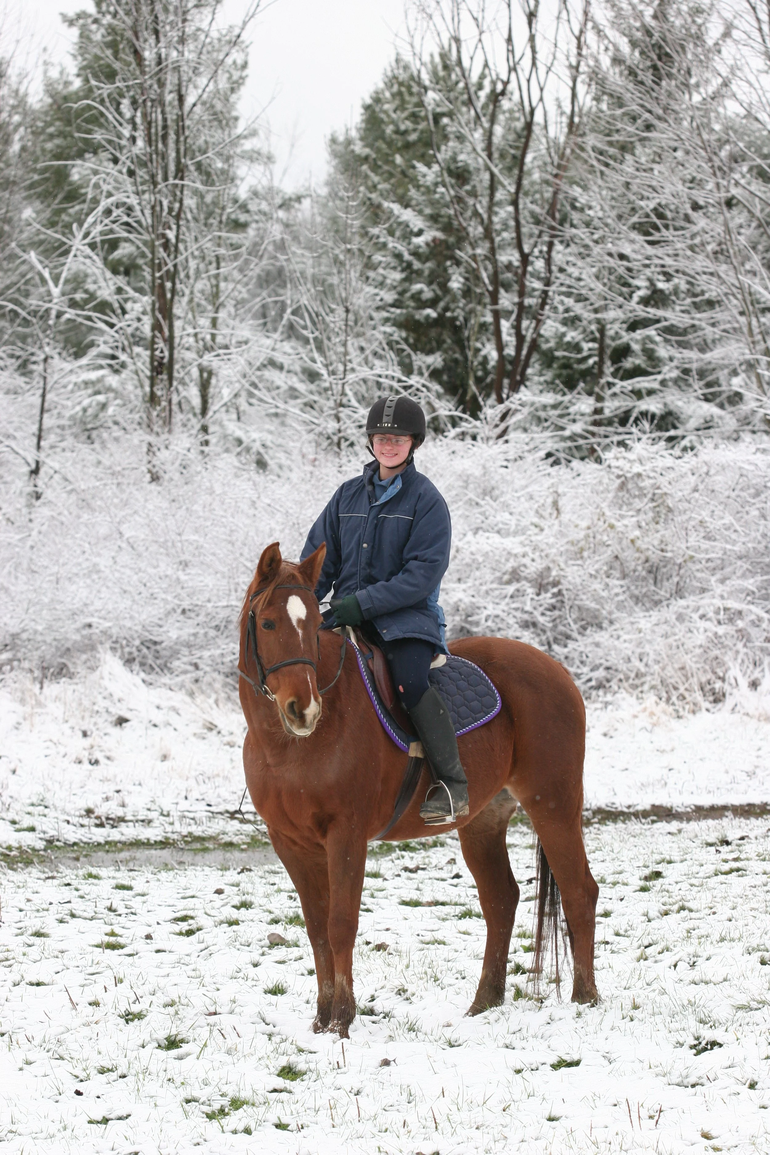 Winter portrait of me on my chestnut mare. We're riding out in a snowy landscape and stop for a moment to pose for the camera. She's very cute and fuzzy