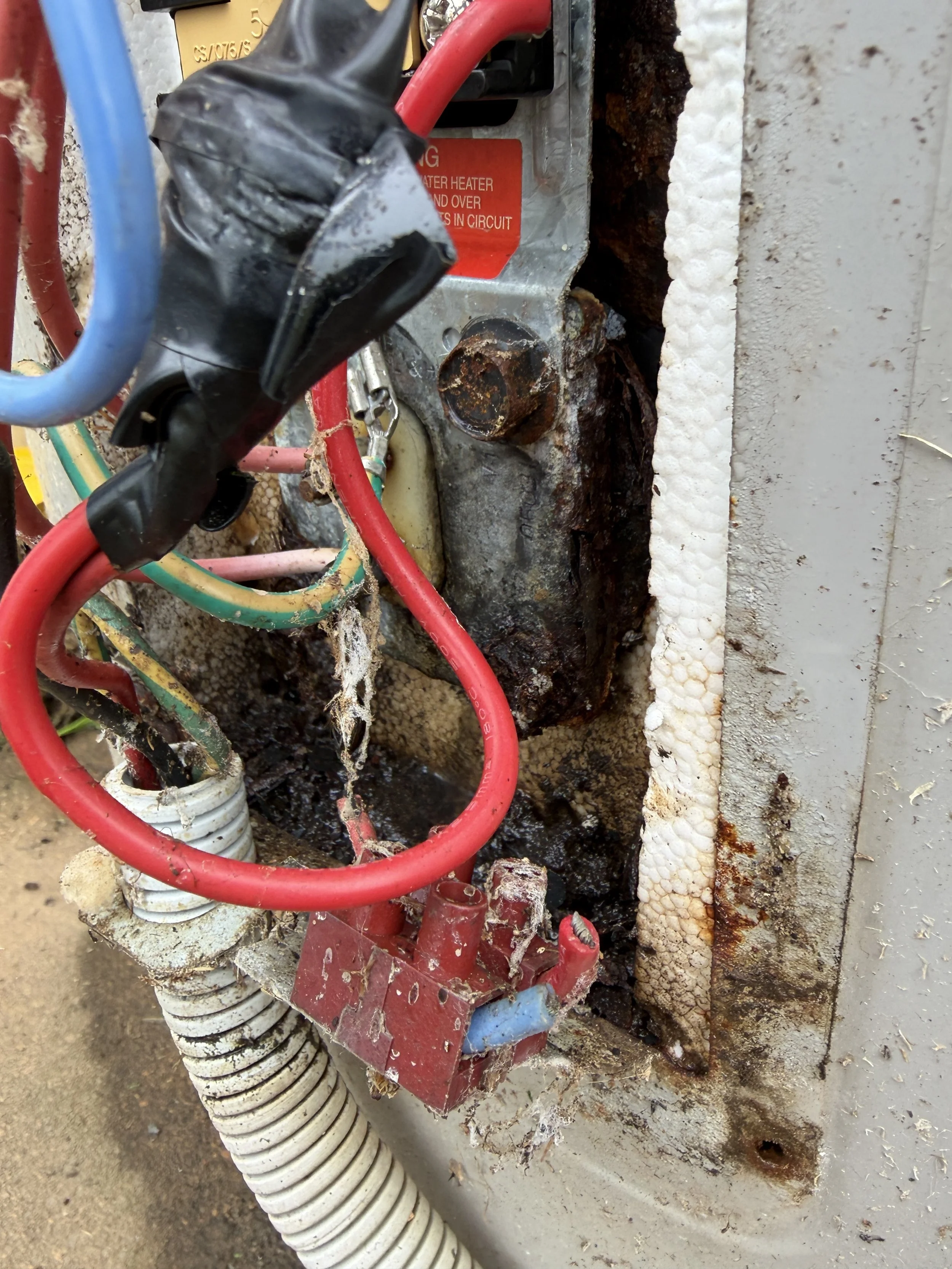 red and blue wiring rusting casing fault causing fire