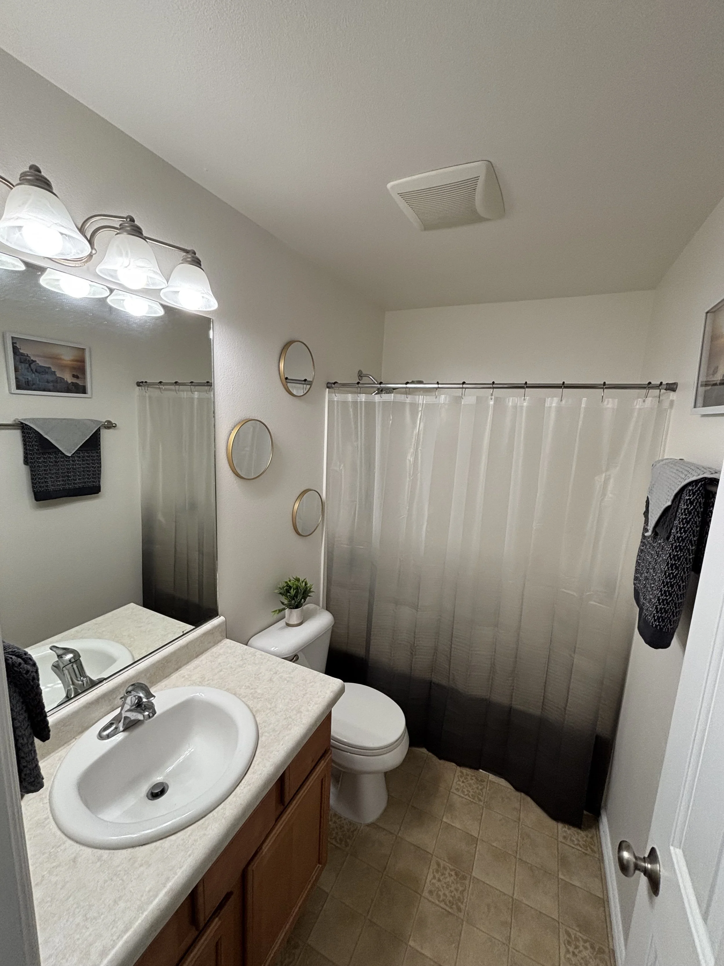 Small bathroom with a single sink vanity, a mirror, wall-mounted lights, a toilet, a shower with a gradient gray and white curtain, a small plant on top of the toilet tank, framed pictures, and a towel hanging on the wall.