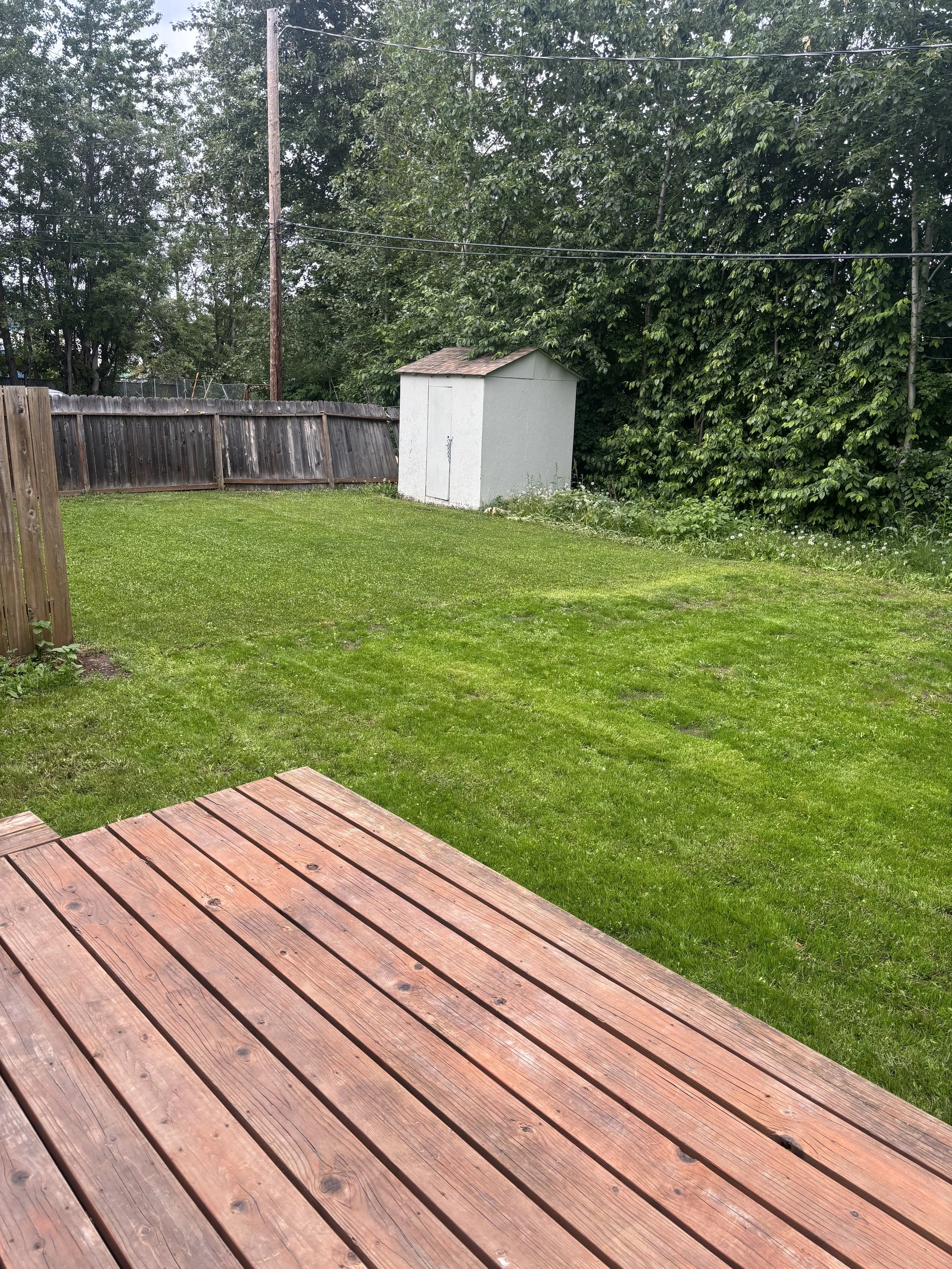 Backyard with a wooden deck, green grass, a weathered wooden fence, and a small white shed near a tree line.