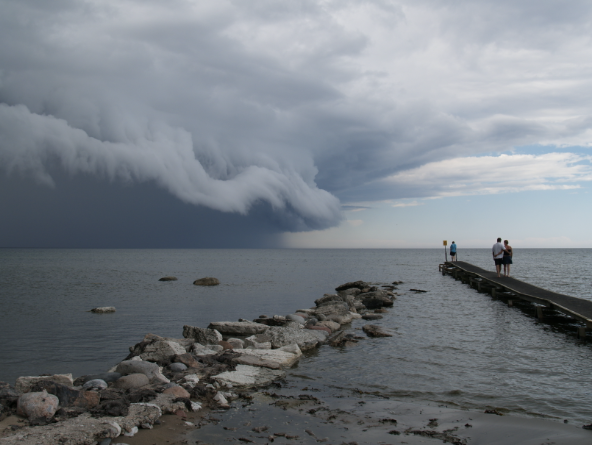 🛡️ Grace in the Storm: Psalm 55 and the Journey of Recovery