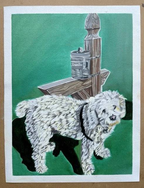 Cooper 14X16