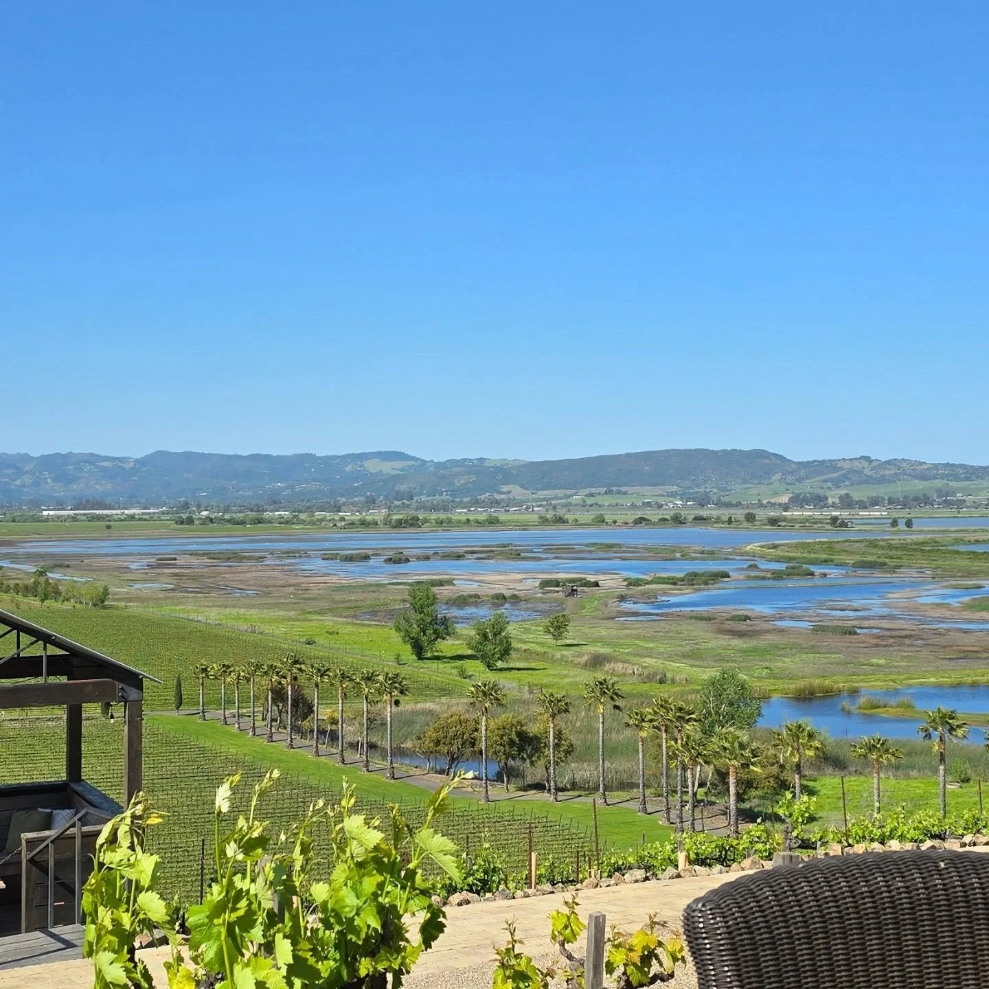 Nice weekend in Sonoma with friends. 
.
.
.
.
.
.
.
#instatravel #travel #wanderlust #wonderful_places #visitcalifornia #travelbug #travelgram #visitsonoma #winetasting