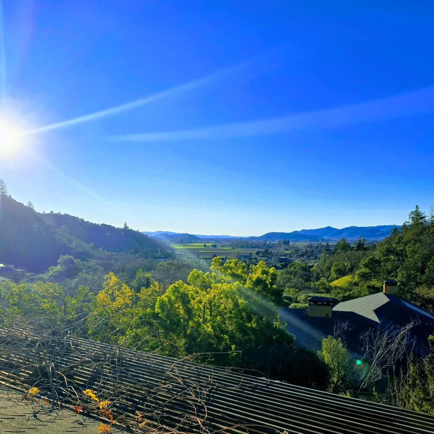 Lovely Sunday and Monday morning in Napa.
.
.
.
.
.
.
#instatravel #wanderlust #wonderful_places #visitcalifornia #travelbug #travelgram #travel #california #napavalley #napa #aubergedusoleil #visitnapavalley